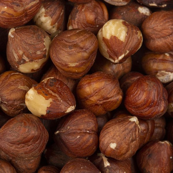 Bruine hazelnoten ongebrand noten