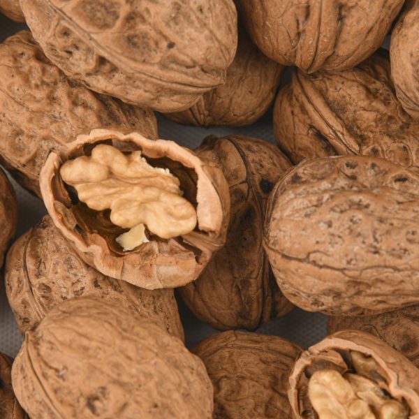 Franse walnoten dop noten